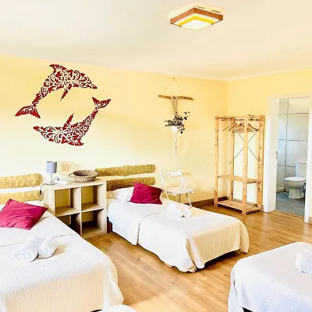 Ocean Tree Ferrel 4*