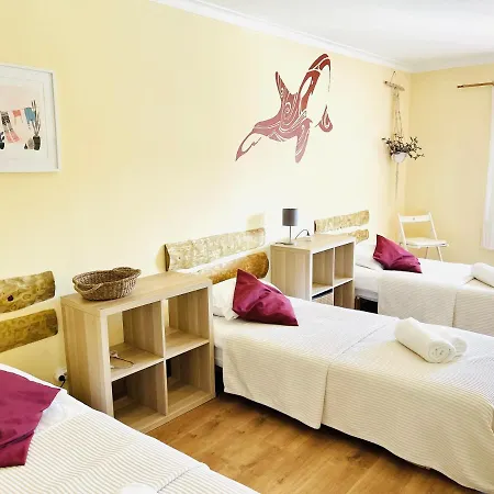 Ocean Tree Ferrel 4*