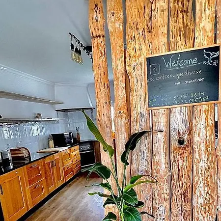 Guest house Ocean Tree Ferrel Serra d'El-Rei