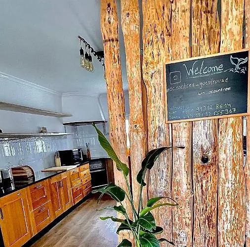 ゲストハウス Ocean Tree Ferrel Serra d'El-Rei